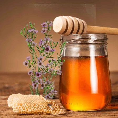 مشخصات عسل گون اصل