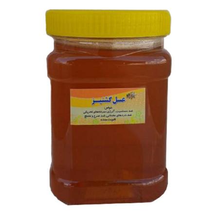 قیمت عسل گشنیز اصل + خرید و فروش