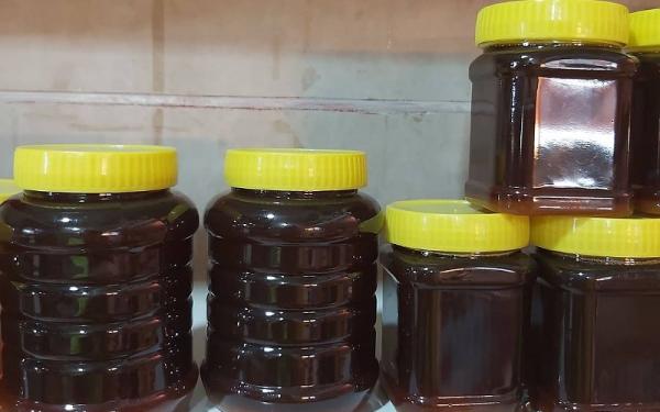 قیمت عسل کوهی هرمزگان + خرید و فروش