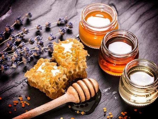 قیمت عسل مرکبات شیراز + خرید و فروش